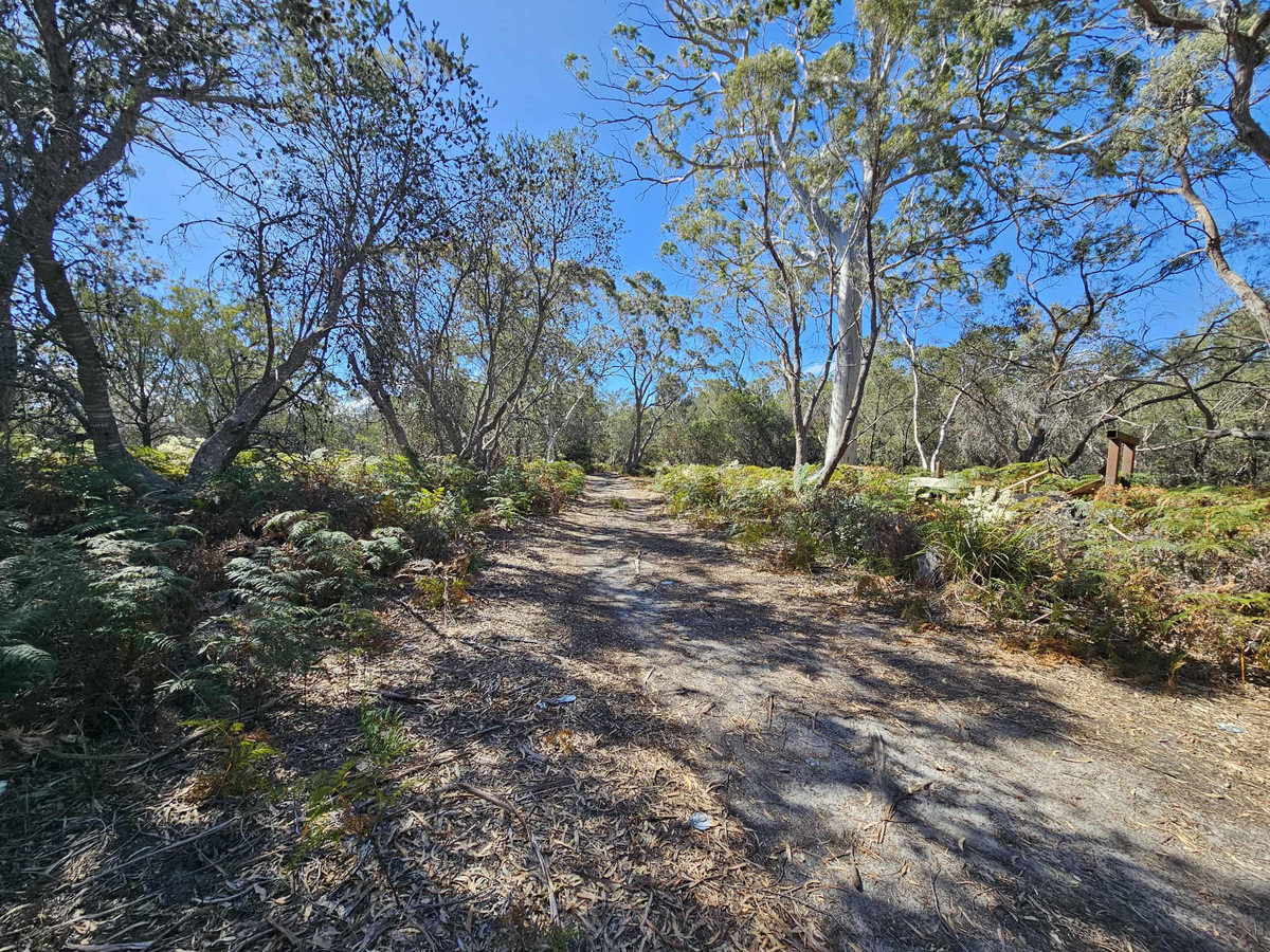 1434 Coles Bay Road, Coles Bay, TAS, 7215 - Image 3