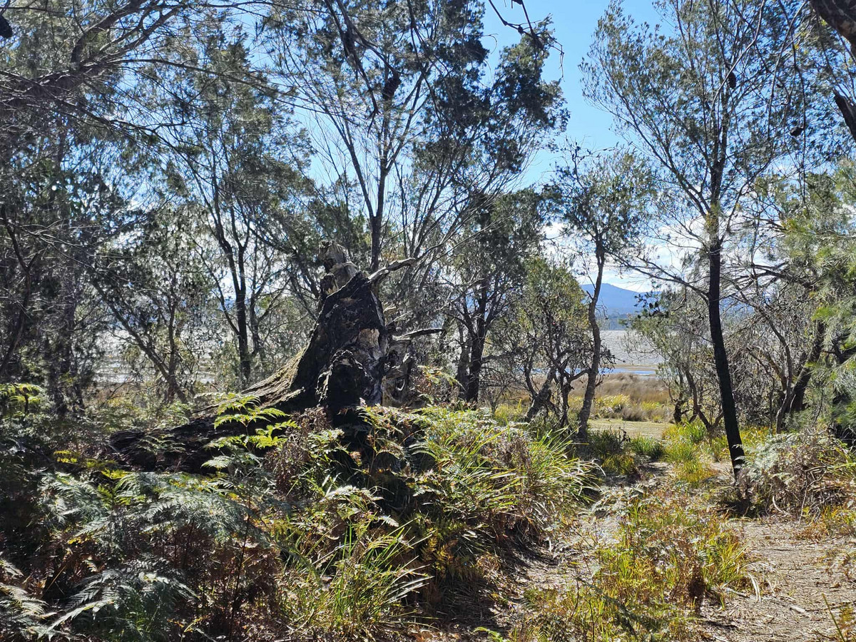 1434 Coles Bay Road, Coles Bay, TAS, 7215 - Image 11