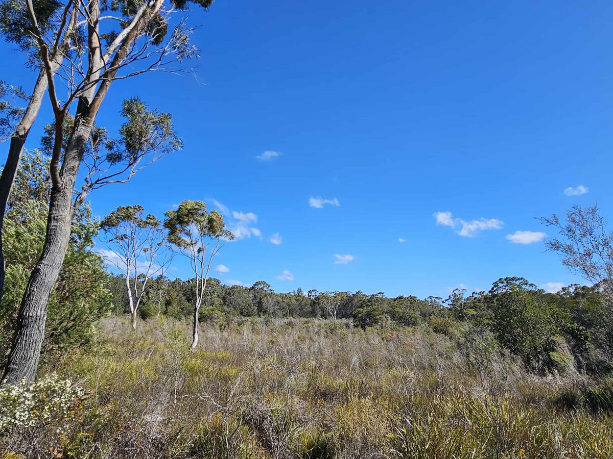 1434 Coles Bay Road, Coles Bay, TAS, 7215 - Image 9