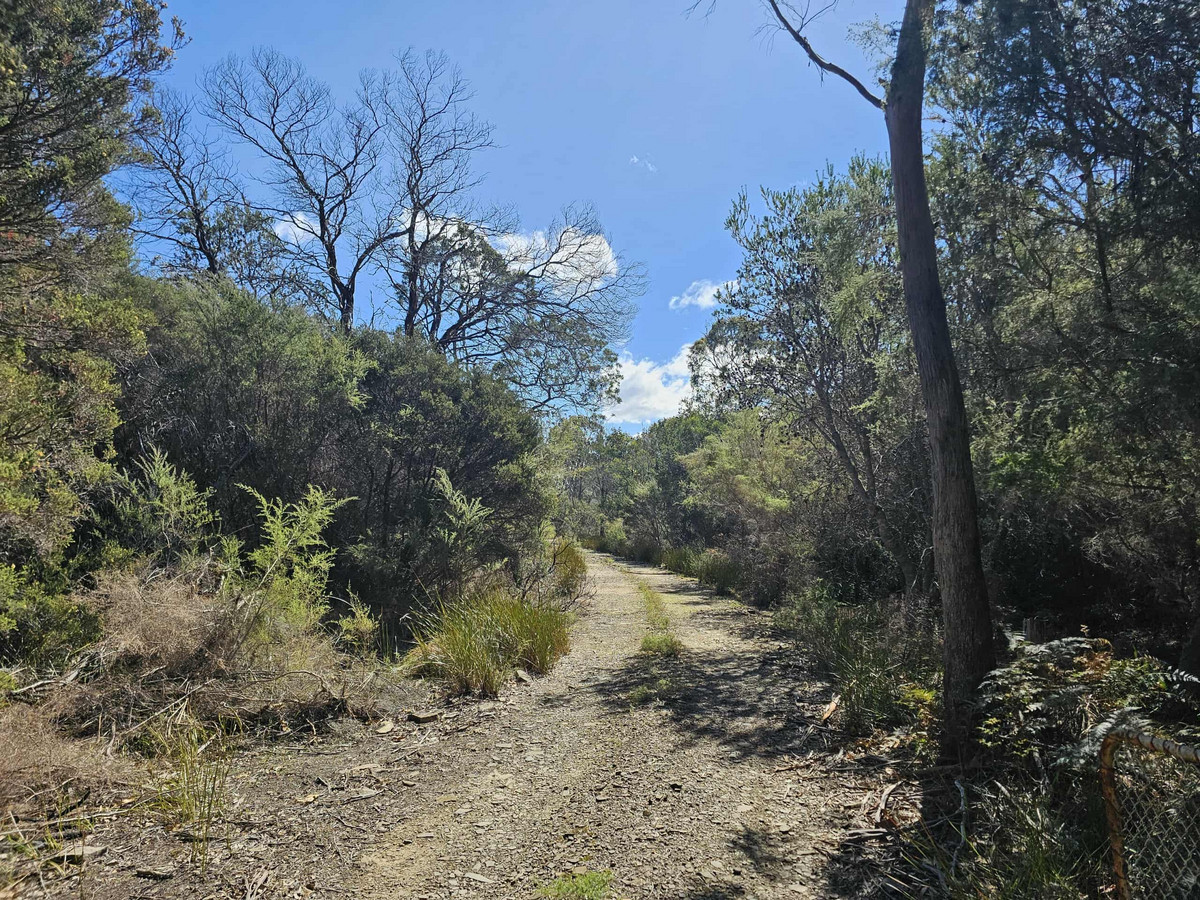 1434 Coles Bay Road, Coles Bay, TAS, 7215 - Image 5