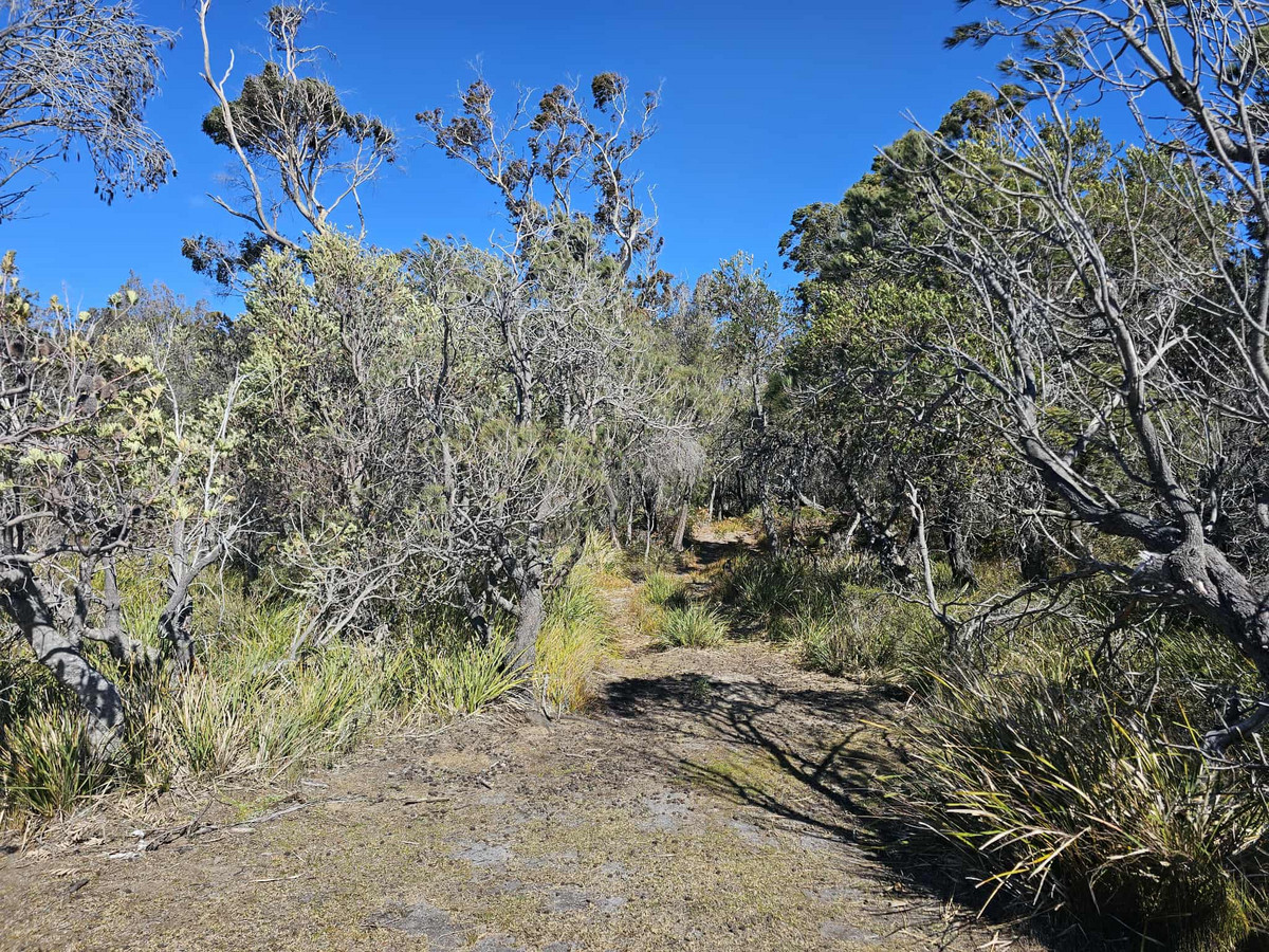 1434 Coles Bay Road, Coles Bay, TAS, 7215 - Image 7