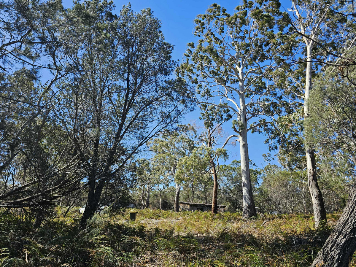 1434 Coles Bay Road, Coles Bay, TAS, 7215 - Image 8