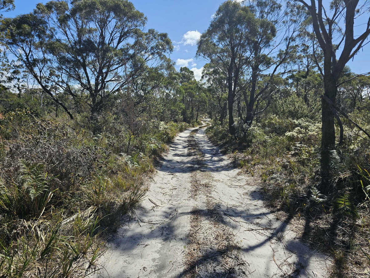 1434 Coles Bay Road, Coles Bay, TAS, 7215 - Image 13