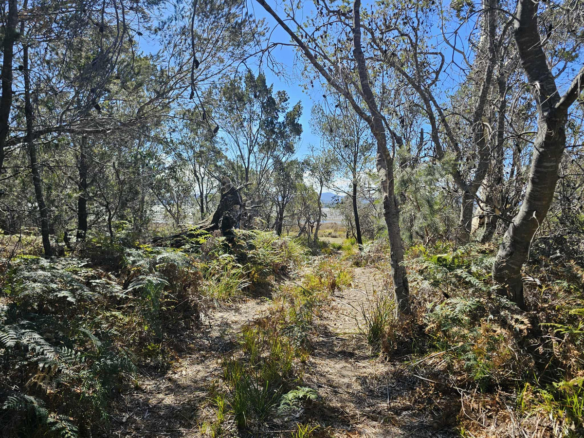 1434 Coles Bay Road, Coles Bay, TAS, 7215 - Image 14