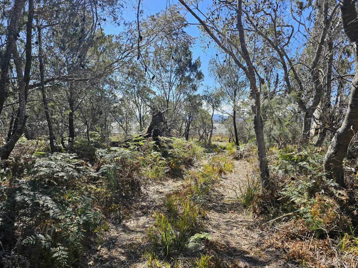 1434 Coles Bay Road, Coles Bay, TAS, 7215 - Image 15