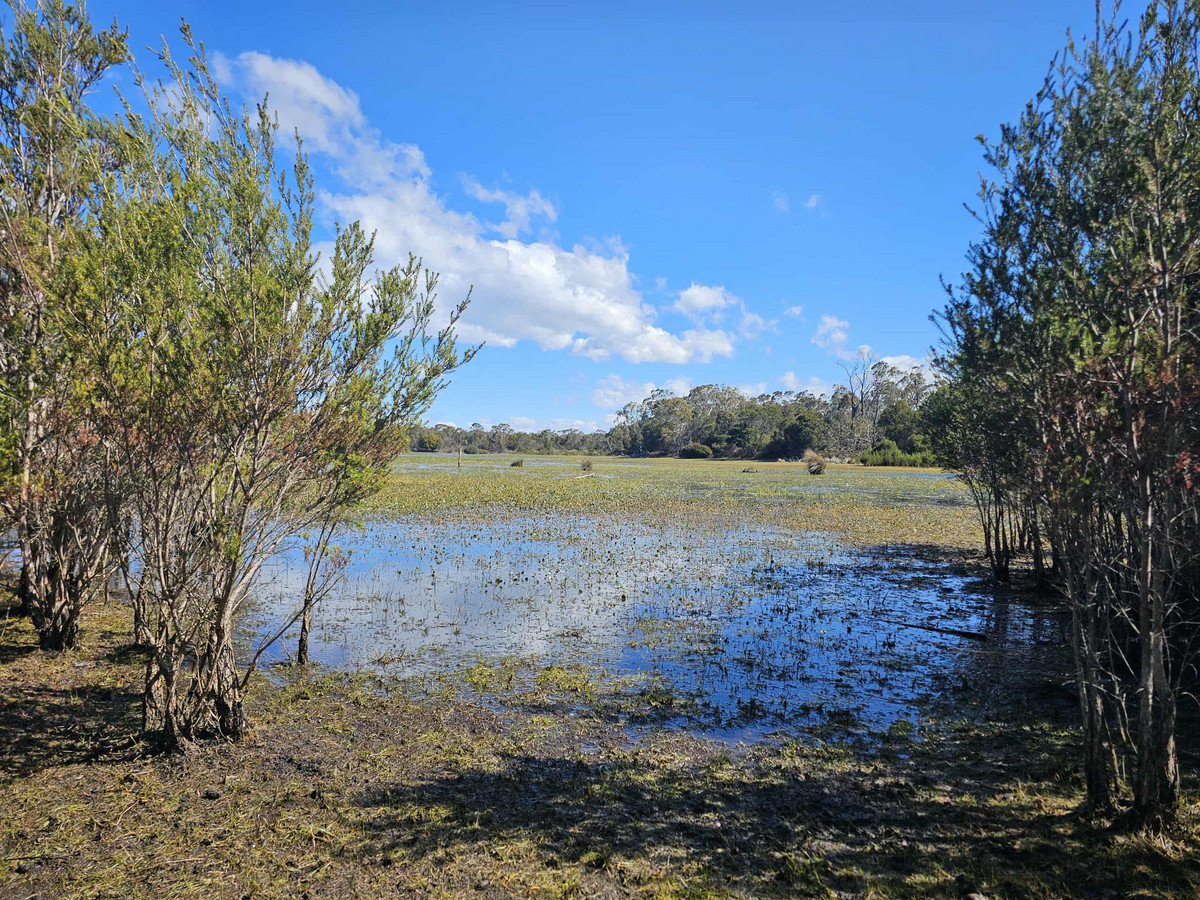 1434 Coles Bay Road, Coles Bay, TAS, 7215 - Image 1