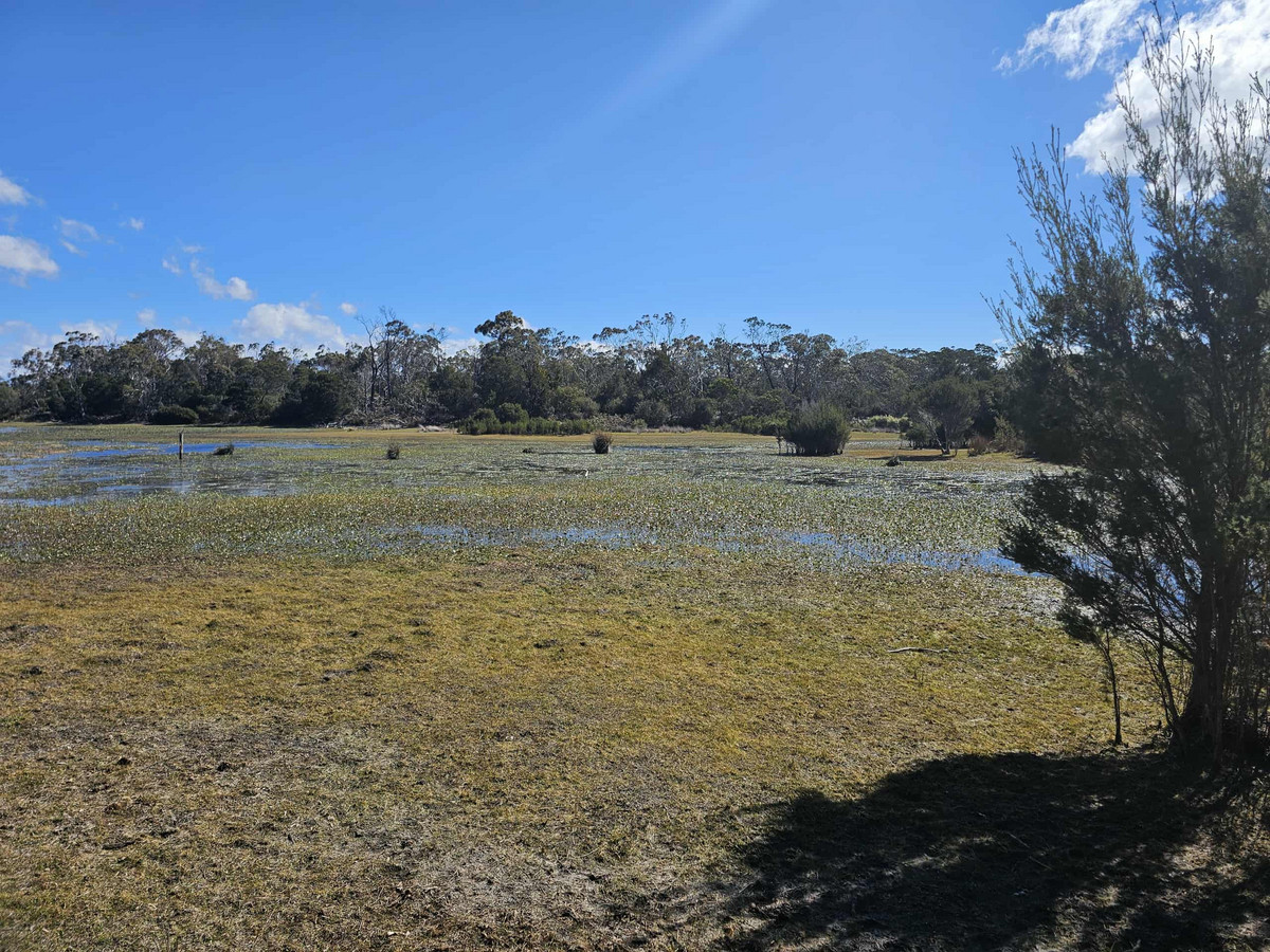 1434 Coles Bay Road, Coles Bay, TAS, 7215 - Image 16