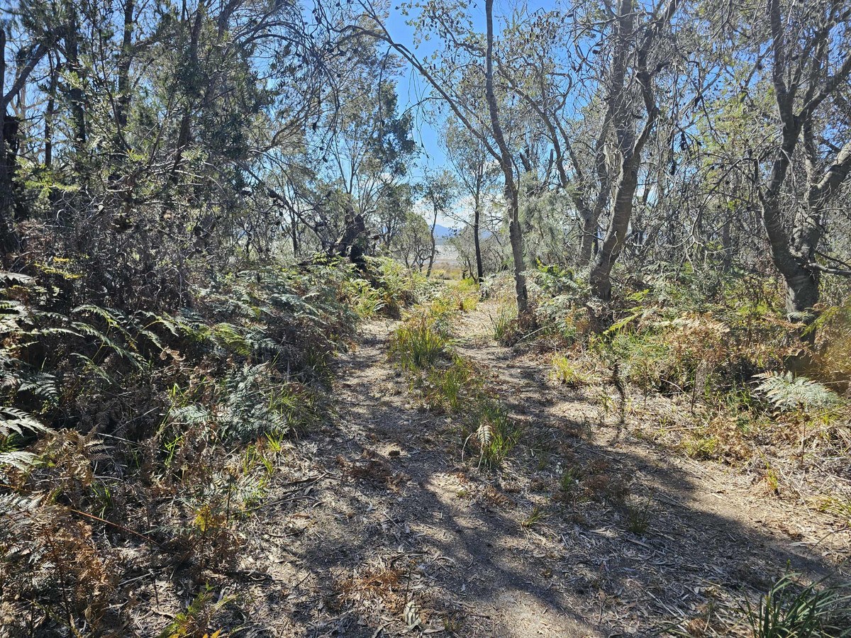 1434 Coles Bay Road, Coles Bay, TAS, 7215 - Image 19