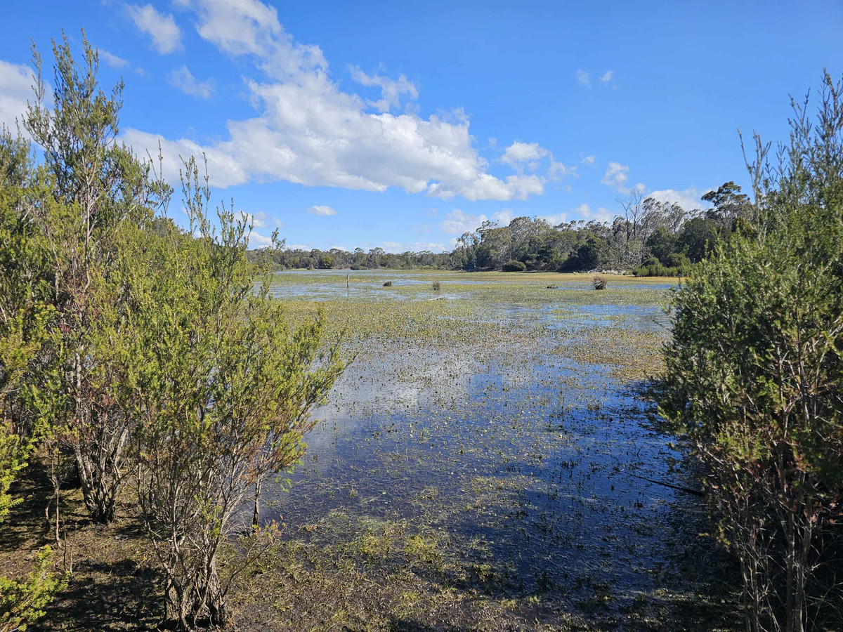 1434 Coles Bay Road, Coles Bay, TAS, 7215 - Image 20