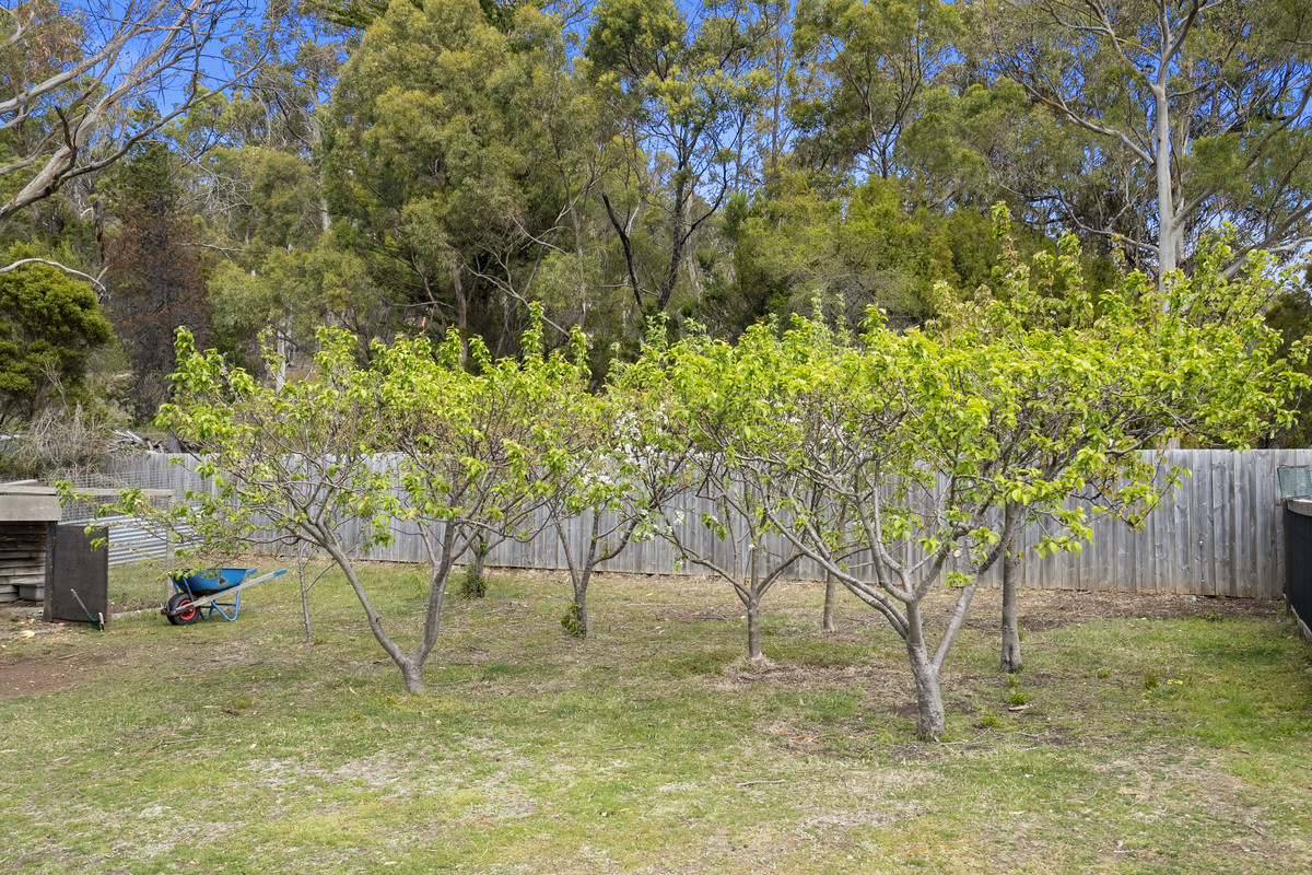 23 Mary Street, Orford, TAS, 7190 - Image 6