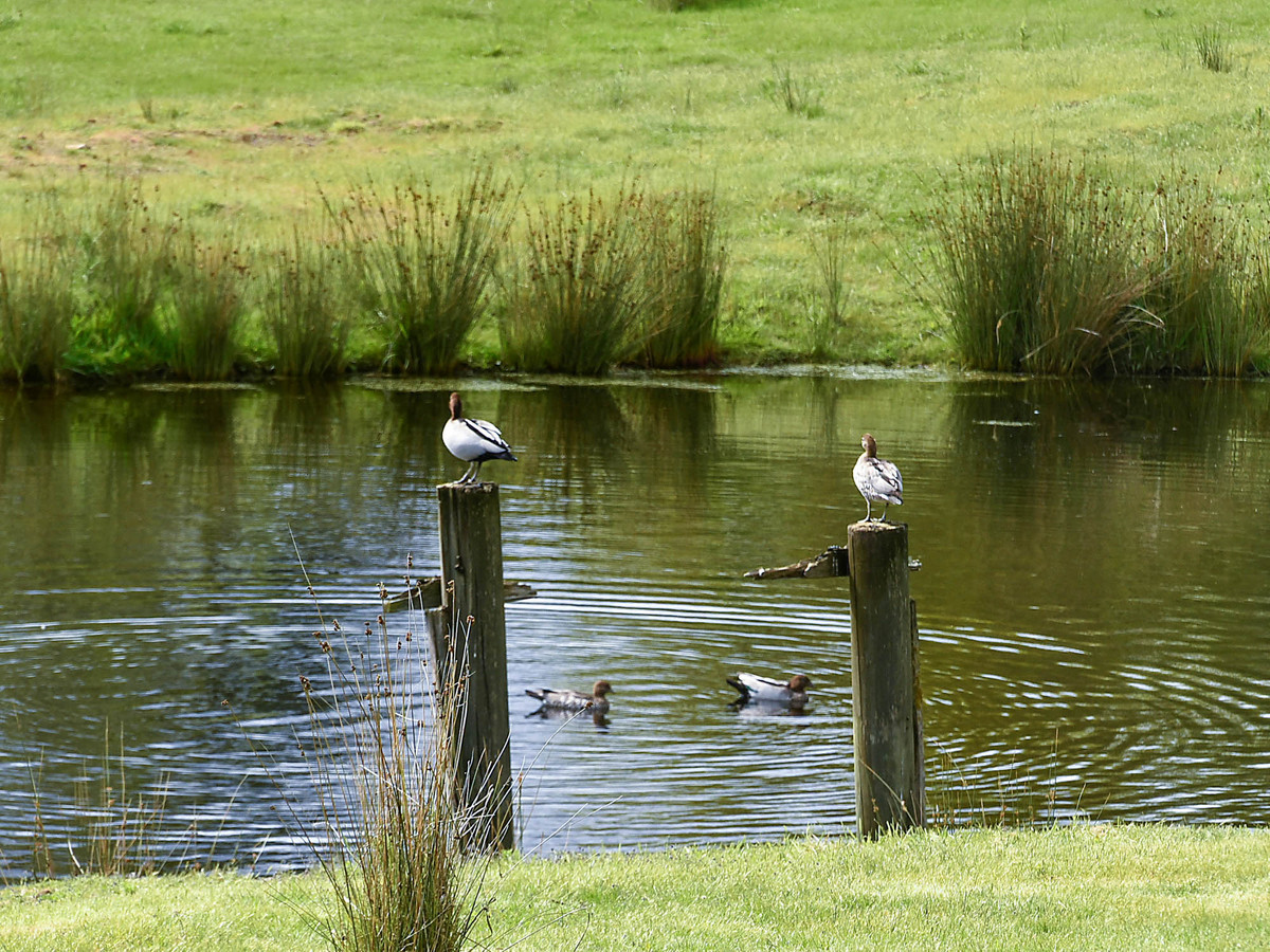 15 Hudson Street, Sidmouth, TAS, 7270 - Image 15