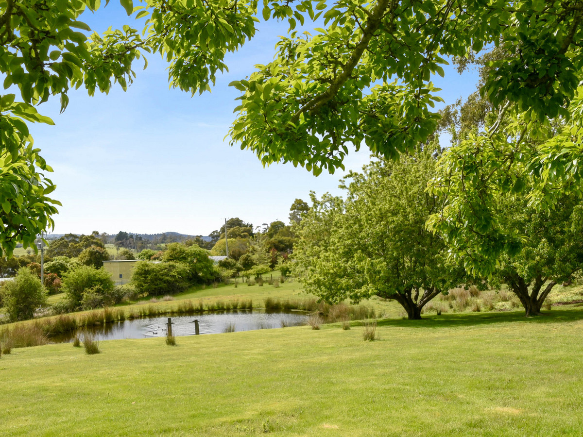 15 Hudson Street, Sidmouth, TAS, 7270 - Image 26