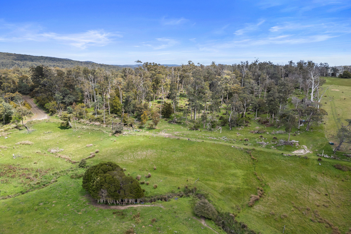1/Lightwood Hills Road, Beaconsfield, TAS, 7270 - Image 2