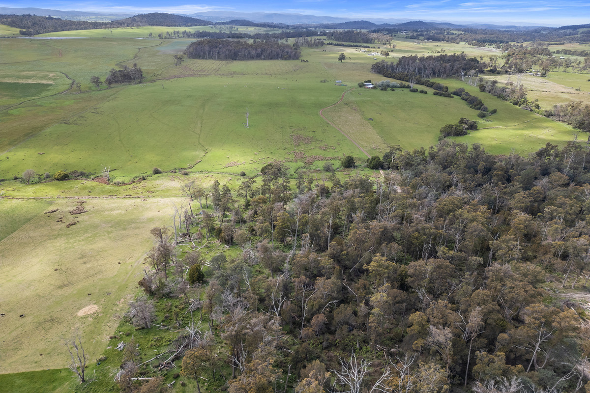 1/Lightwood Hills Road, Beaconsfield, TAS, 7270 - Image 3