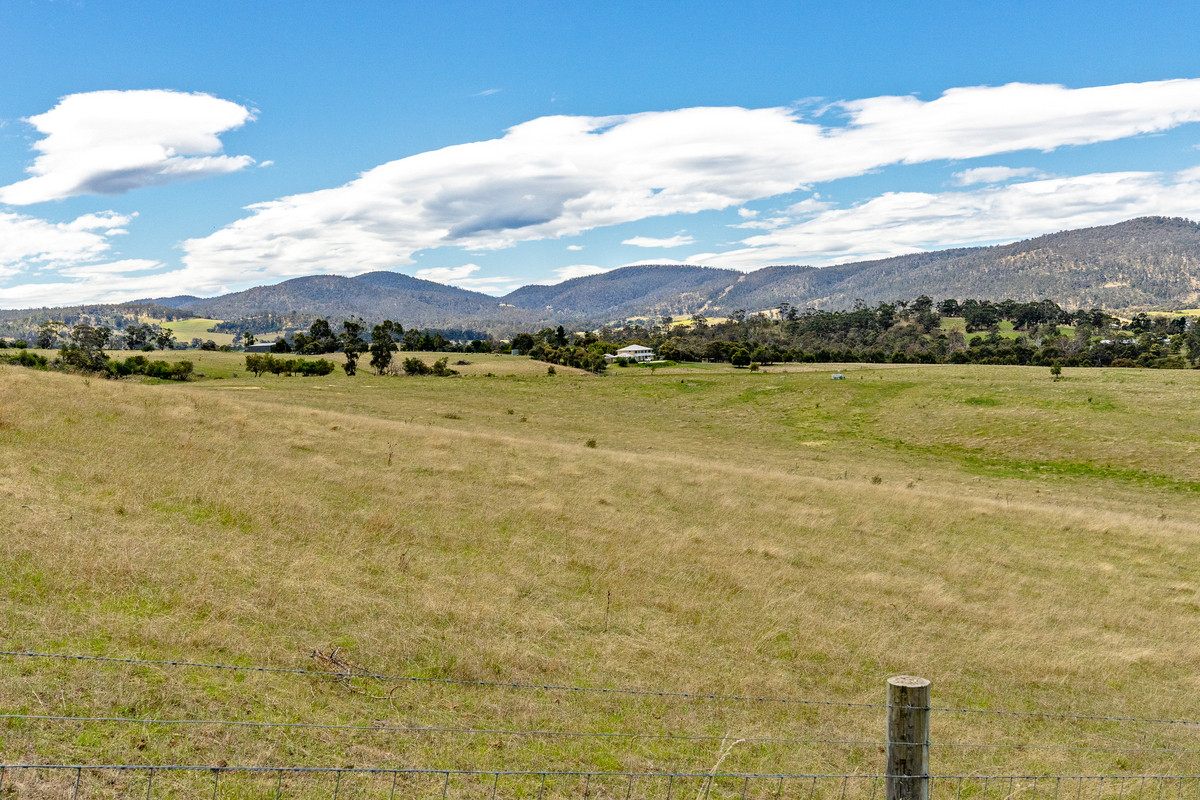 Lot 1 Orielton Road, Orielton, TAS, 7172 - Image 4