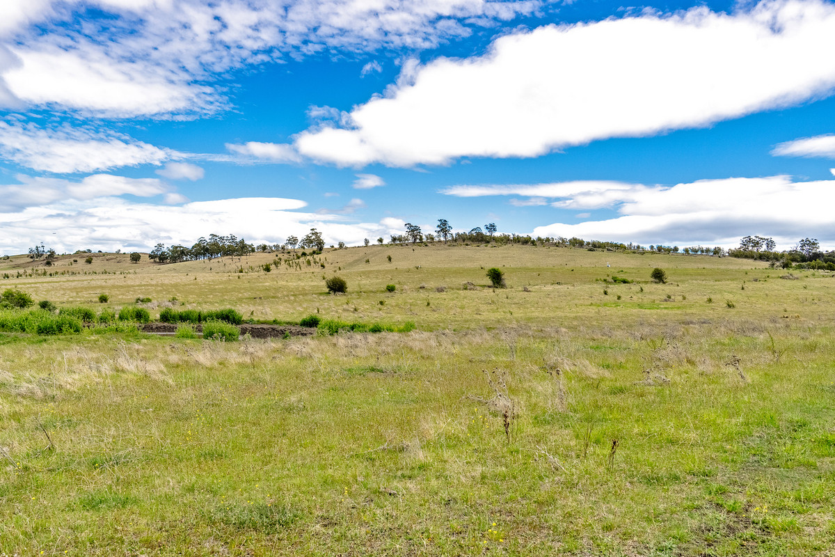 Lot 1 Orielton Road, Orielton, TAS, 7172 - Image 3