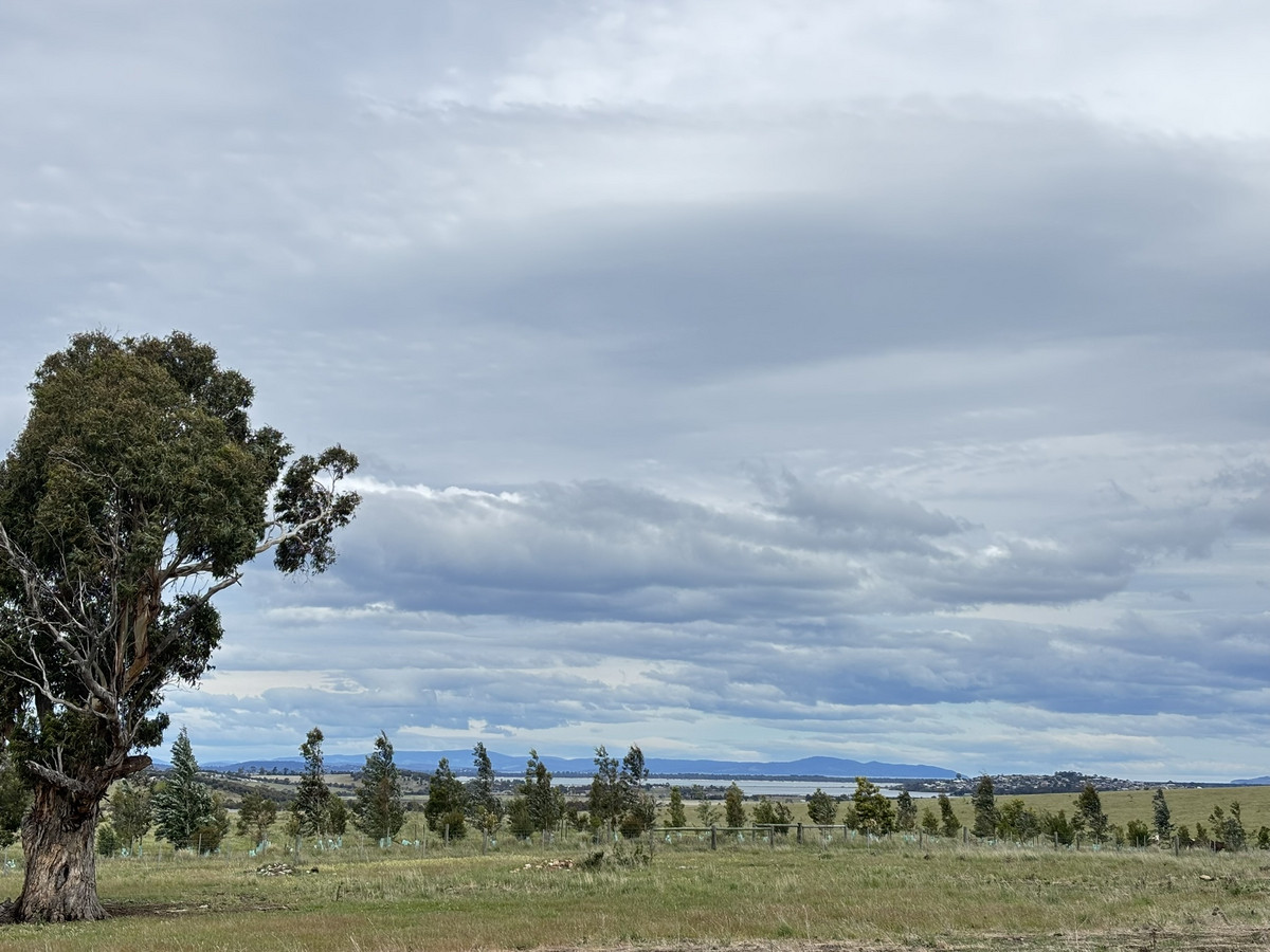 Lot 1 Orielton Road, Orielton, TAS, 7172 - Image 6
