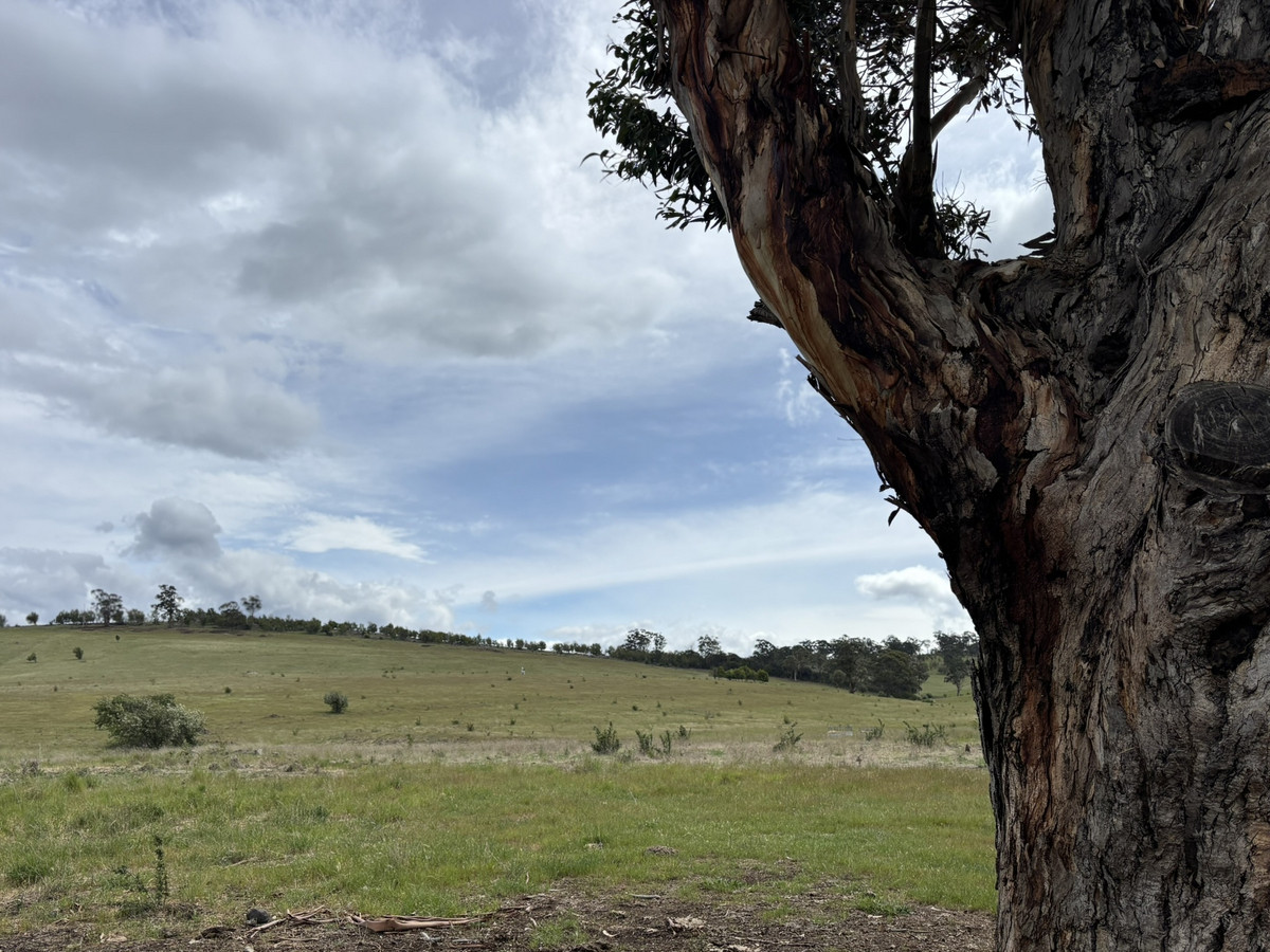 Lot 1 Orielton Road, Orielton, TAS, 7172 - Image 7
