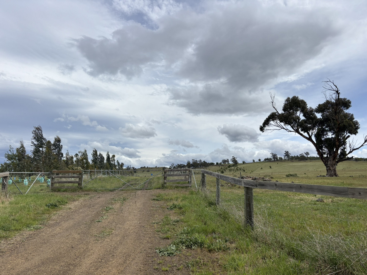 Lot 1 Orielton Road, Orielton, TAS, 7172 - Image 8