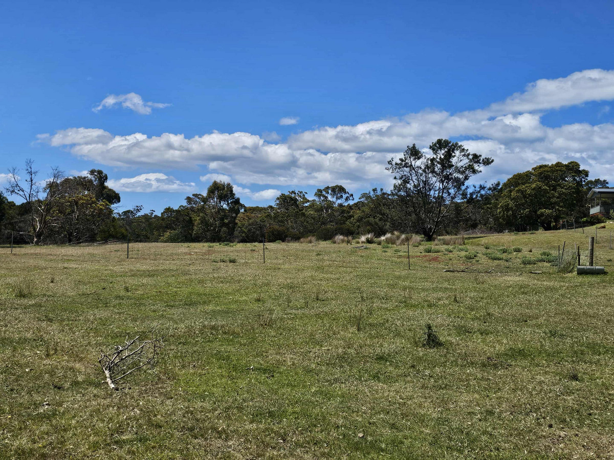 2/Gordon Street, Swansea, TAS, 7190 - Image 7