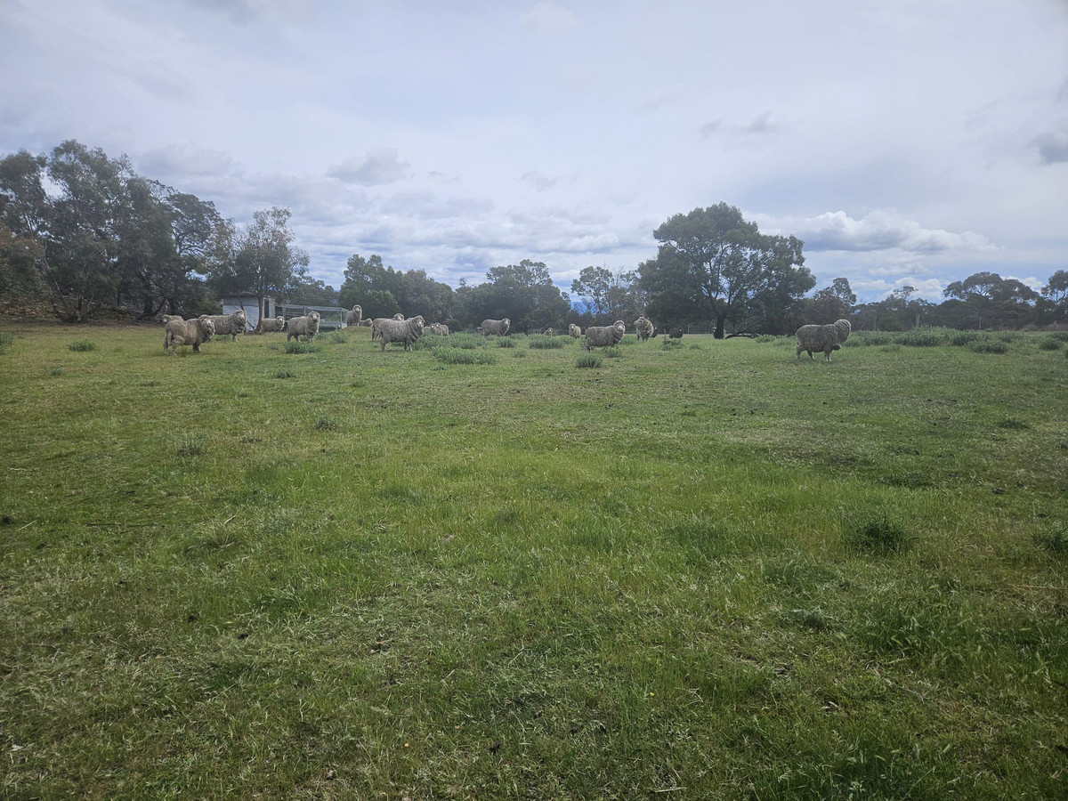 Lot 2, Gordon Street, Swansea TAS 7190