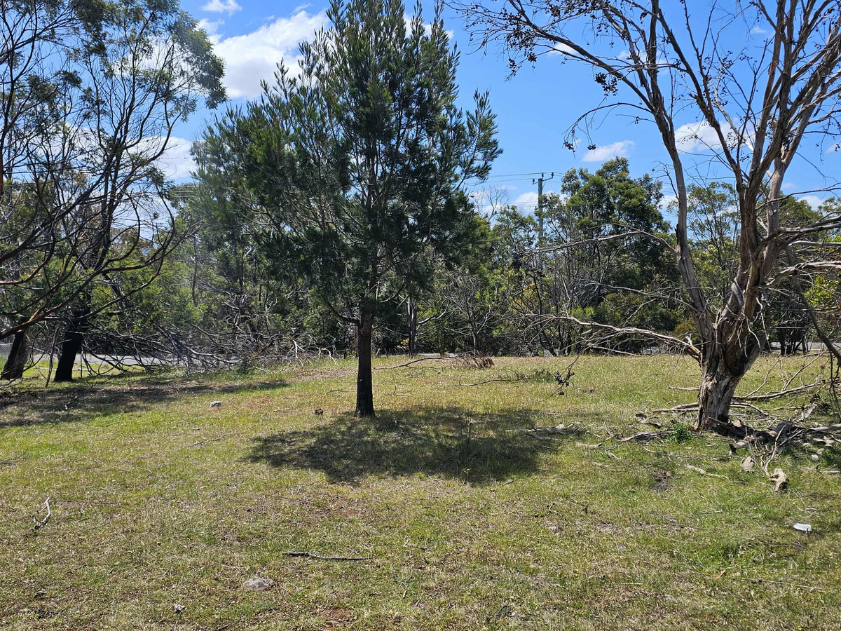 2/Gordon Street, Swansea, TAS, 7190 - Image 3