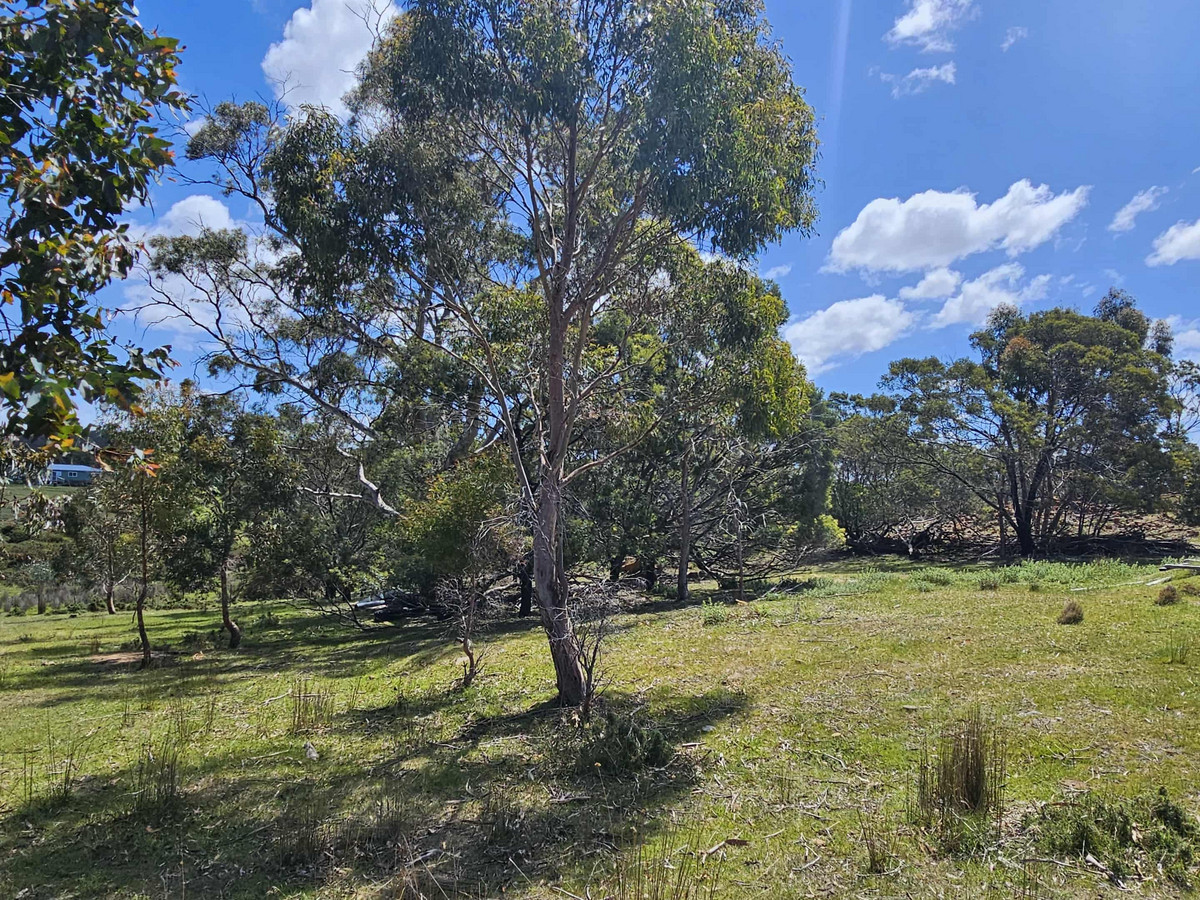 2/Gordon Street, Swansea, TAS, 7190 - Image 4