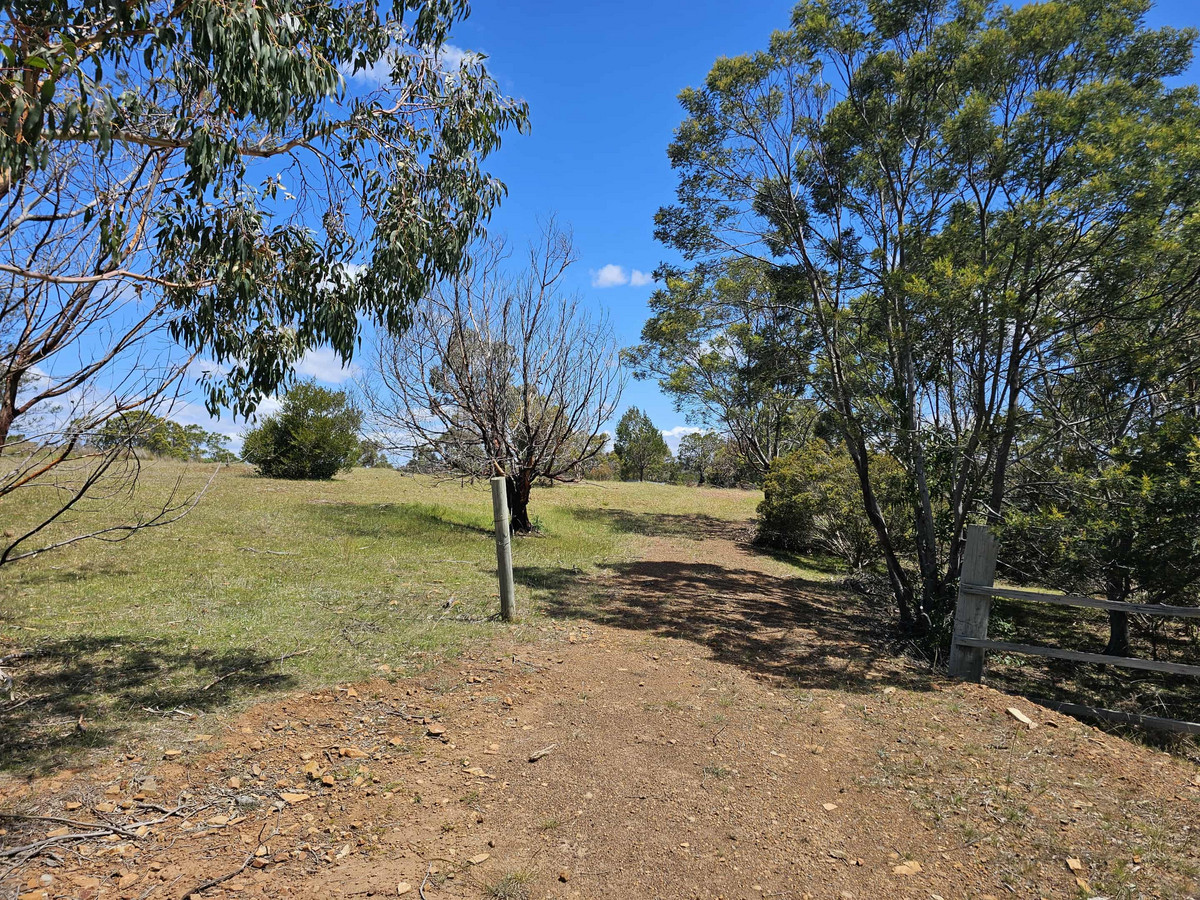 2/Gordon Street, Swansea, TAS, 7190 - Image 5