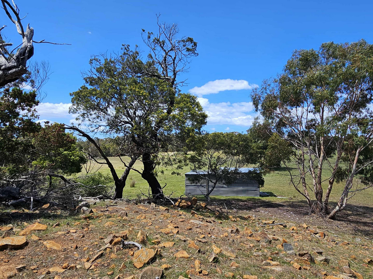 2/Gordon Street, Swansea, TAS, 7190 - Image 11