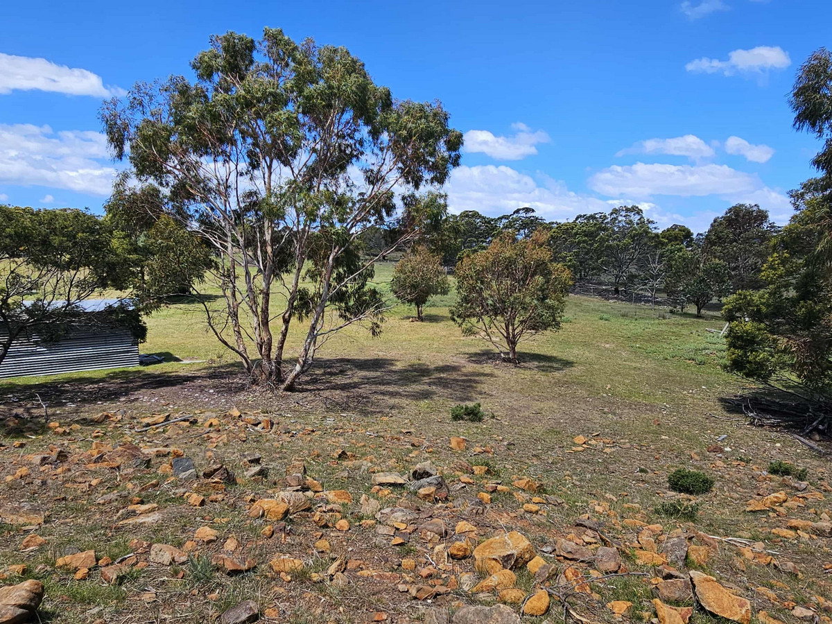 2/Gordon Street, Swansea, TAS, 7190 - Image 12