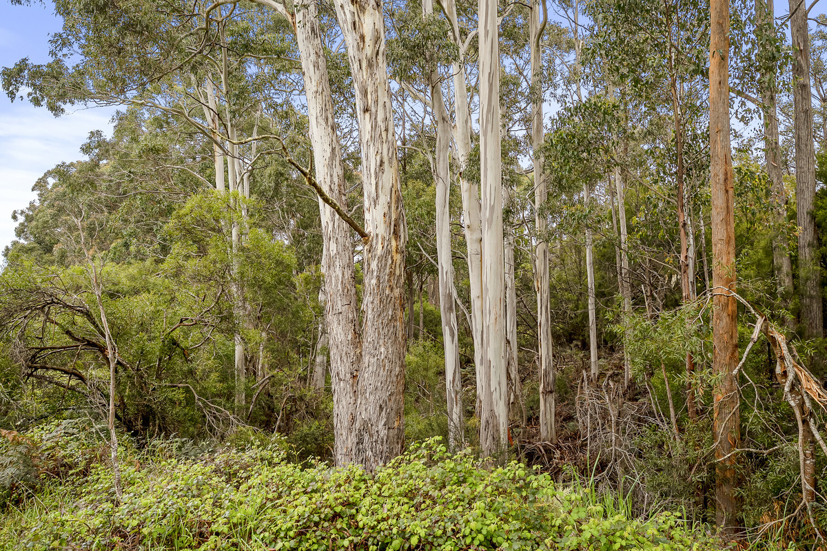 47 Slaters Road, Cradoc, TAS, 7109 - Image 27