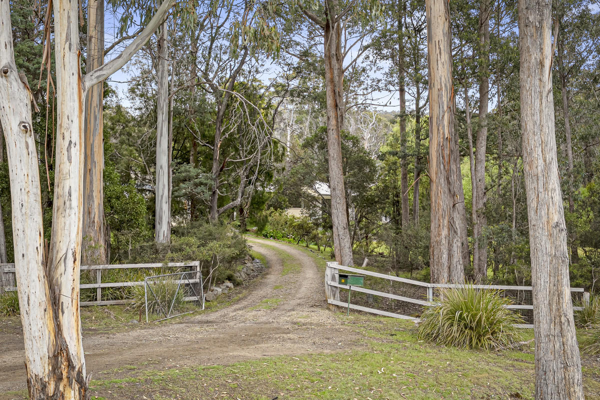 845 Sandfly Road, Longley, TAS, 7150 - Image 4
