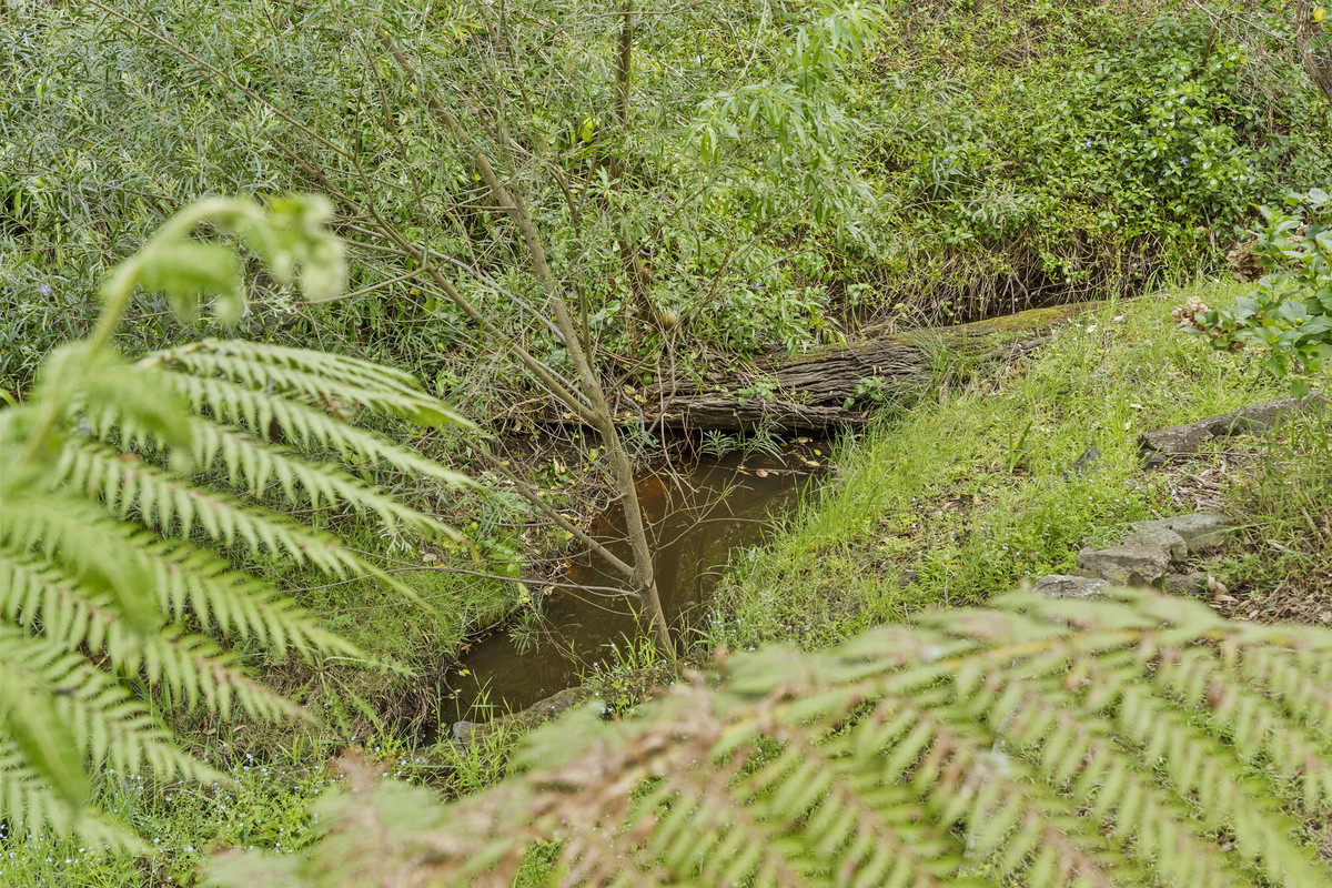 10 East Shelly Road, Orford, TAS, 7190 - Image 26