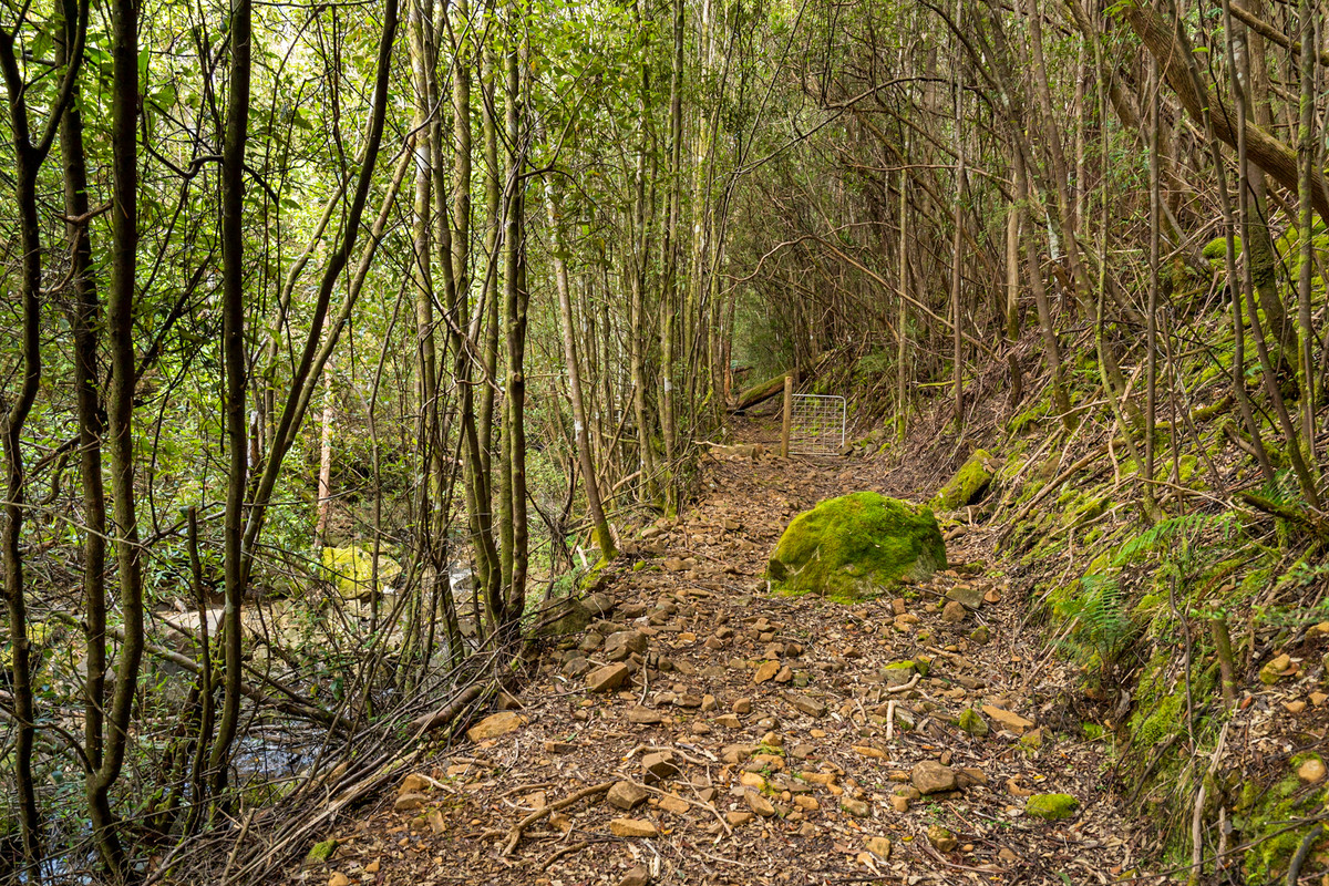 7/Kaoota Road, Kaoota, TAS, 7150 - Image 2