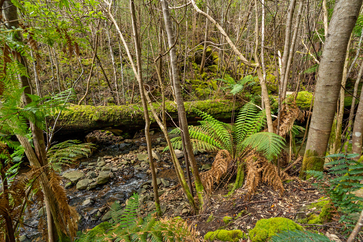 7/Kaoota Road, Kaoota, TAS, 7150 - Image 3