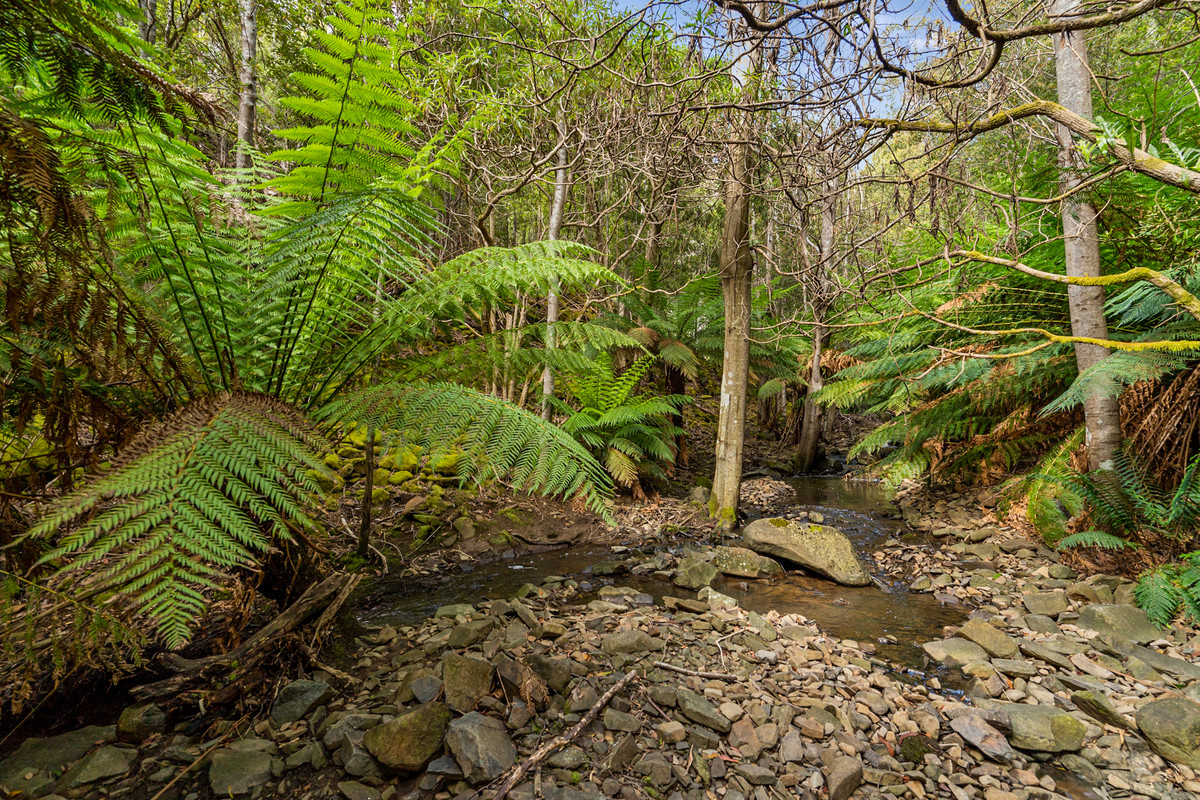 7/Kaoota Road, Kaoota, TAS, 7150 - Image 4