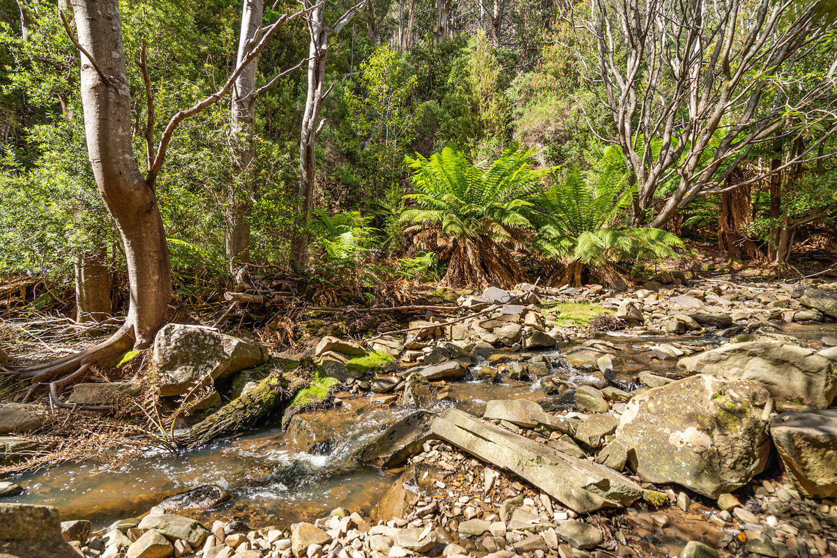 7/Kaoota Road, Kaoota, TAS, 7150 - Image 5