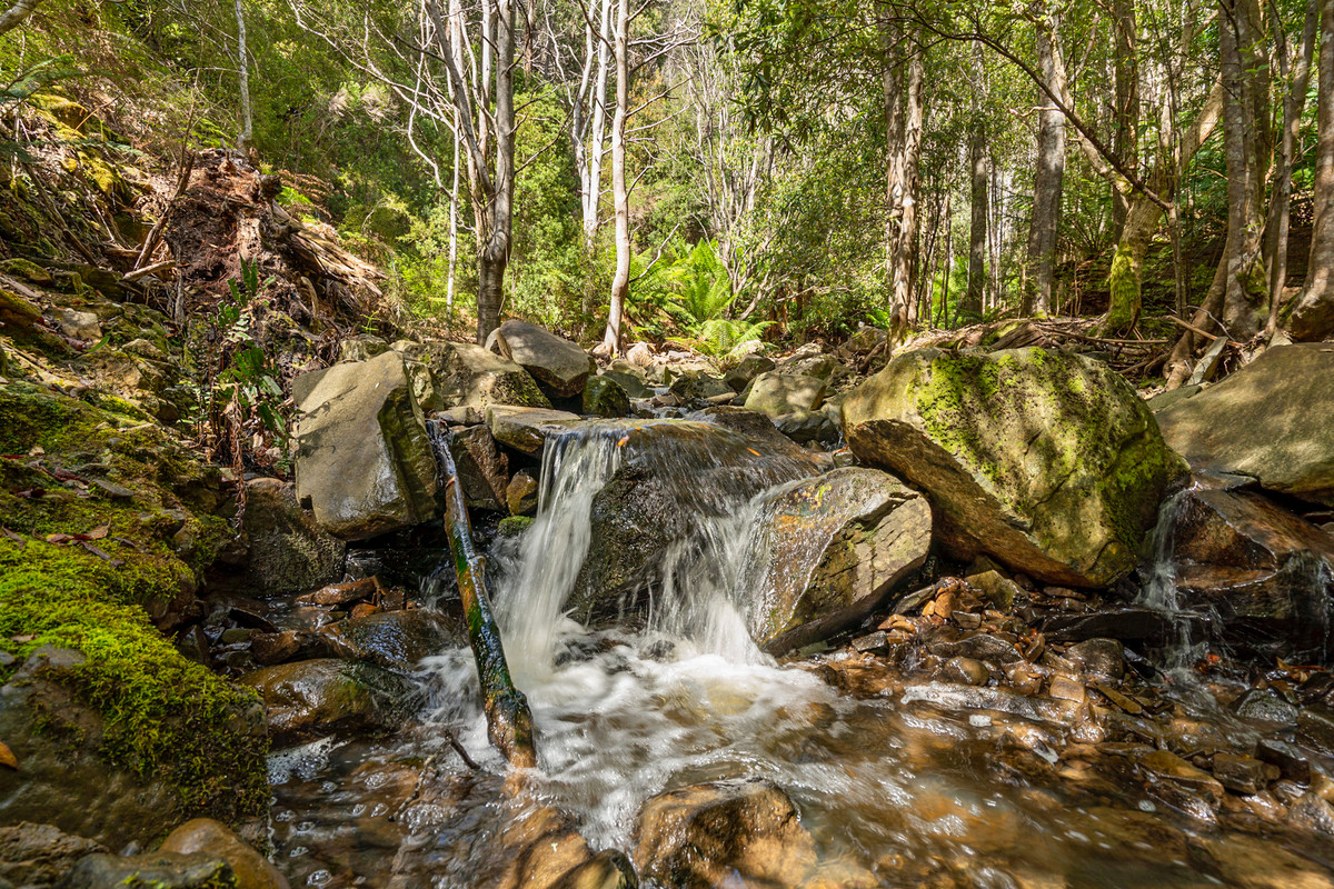7/Kaoota Road, Kaoota, TAS, 7150 - Image 7