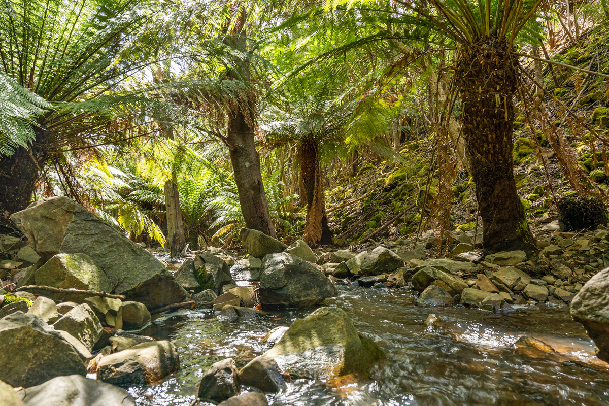 7/Kaoota Road, Kaoota, TAS, 7150 - Image 8