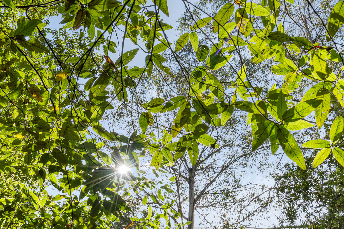 7/Kaoota Road, Kaoota, TAS, 7150 - Image 10