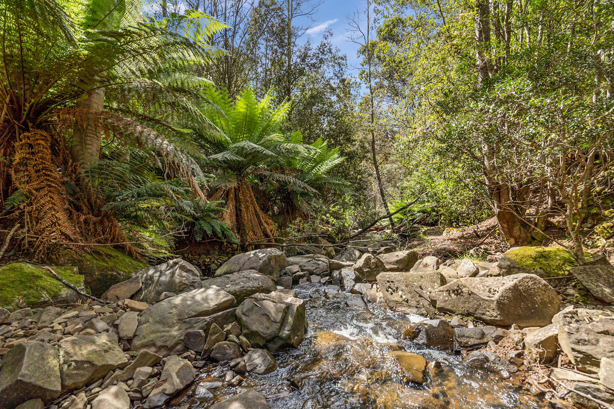 7/Kaoota Road, Kaoota, TAS, 7150 - Image 13