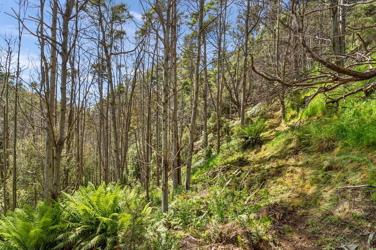 7/Kaoota Road, Kaoota, TAS, 7150 - Image 14