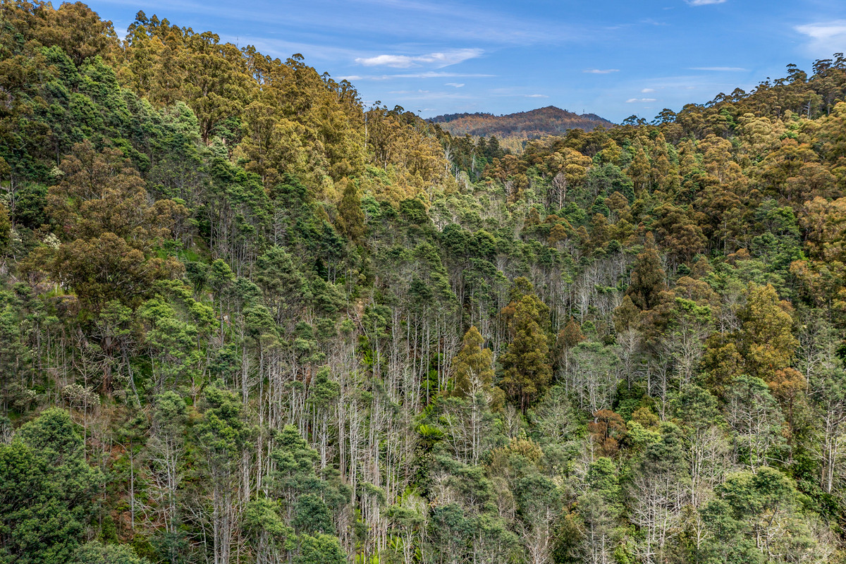 7/Kaoota Road, Kaoota, TAS, 7150 - Image 23